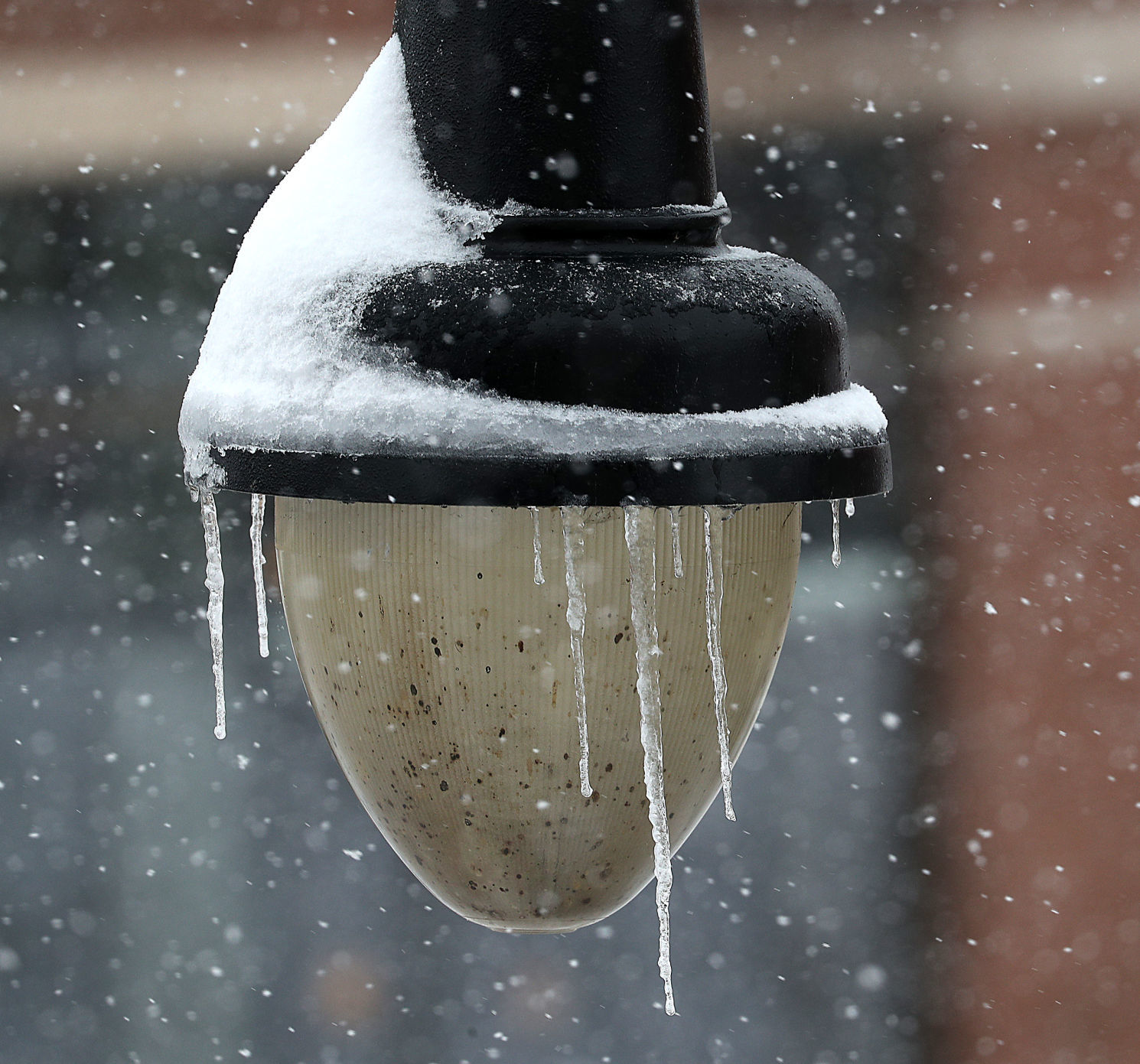 Feb. 12: Downtown La Crosse